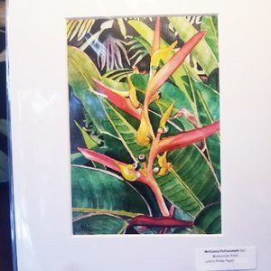 Heliconia - Watercolor Print - Matted to 8x10